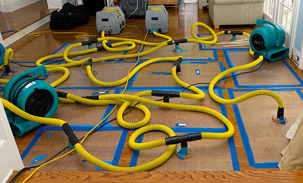 Professional Crawl Space Water Removal technician working in Bowling Green, VA